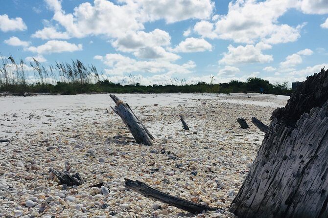 Shelling Tours - Fort Myers Beach / Naples - An Authentic Shelling Adventure from Fort Myers Beach