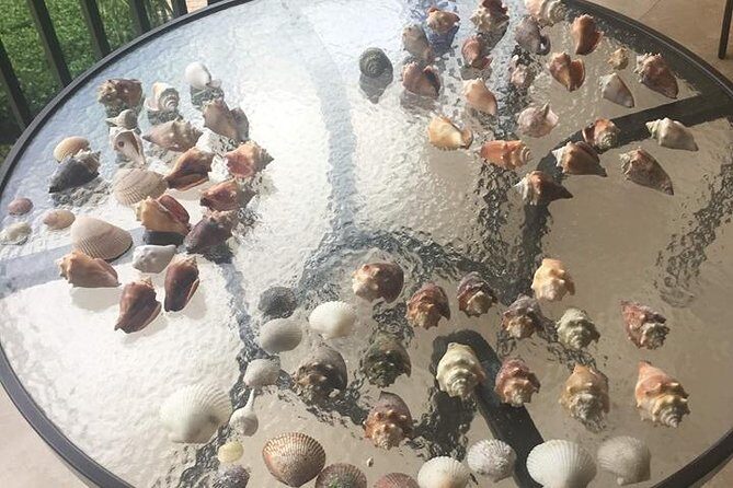 Shelling Tours - Fort Myers Beach / Naples - Who Should Book This Tour?
