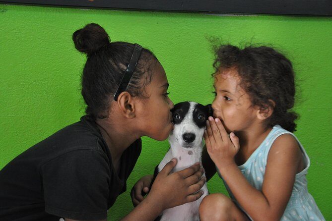 Shelter Visit & Tour - Key Points