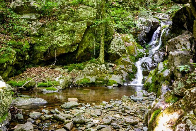 Shenandoah National Park Self-Guided Driving Audio Tour - Final Thoughts