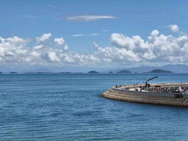 Shenzhen: Dapeng Peninsula Day Tour with Hotel Pickup - Key Points