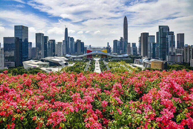 Shenzhen Private Day Tour with Car Service Tech+Culture+Shopping - Exploring Shenzhen with a Private Day Tour: A Complete Guide
