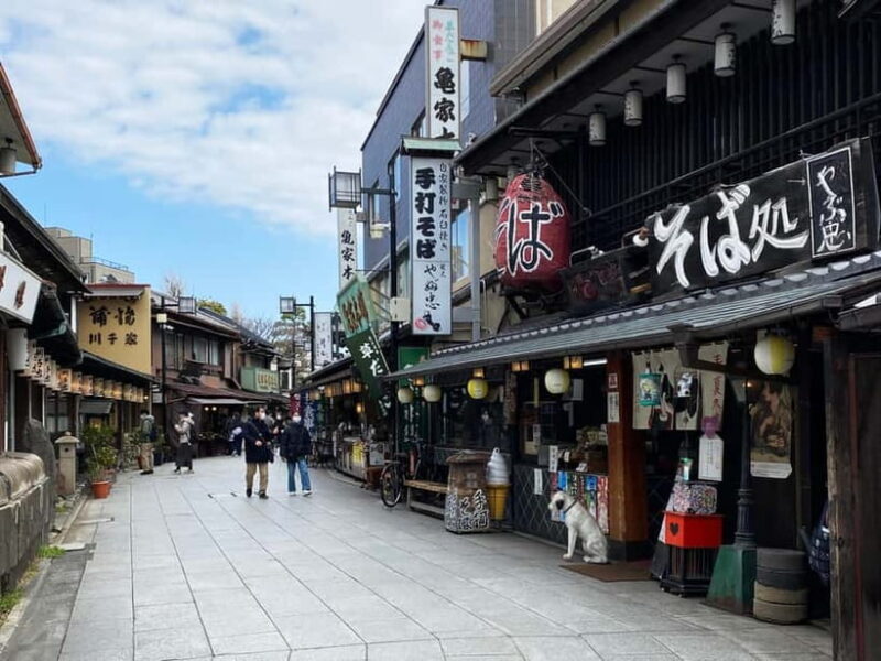 Shibamata: Step Back into Old Japan! - The Experience: A Deep Dive into Shibamata
