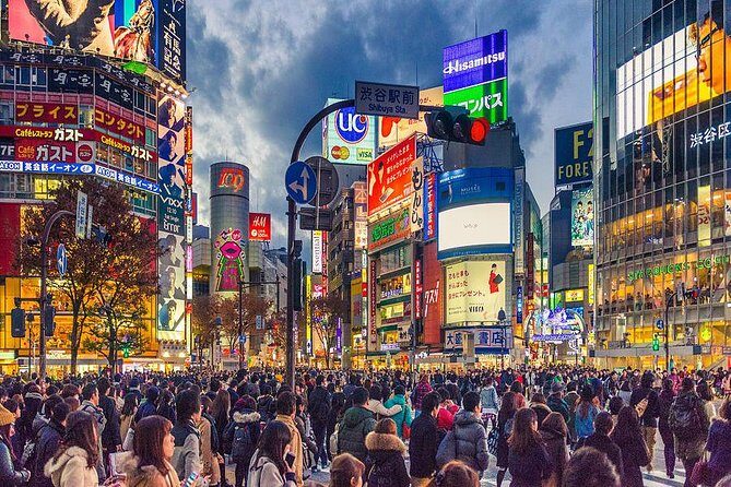 Shibuya All You Can Eat Best Food Tour The Original One in Tokyo - The Guides: Who Makes the Experience?