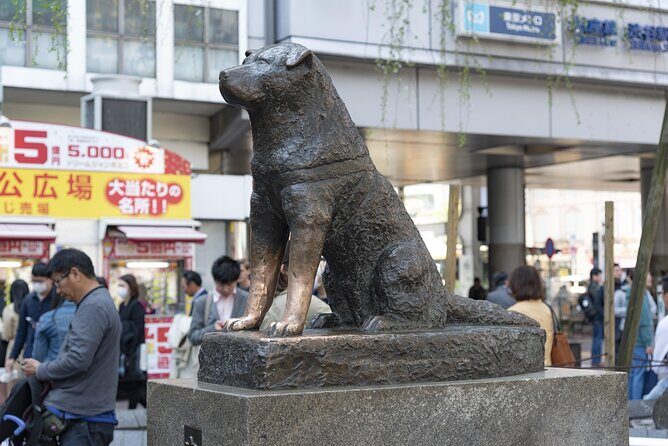Shibuya by night in Small Groups: Neon Lights and Local Flavors - A Closer Look at the Experience