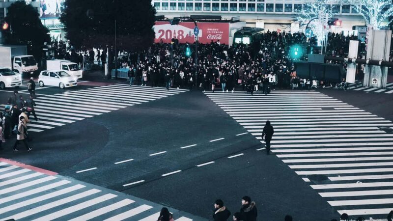 Shibuya: Crossing, Hachiko & Shibuya Sky Guided Tour - Authenticity and Value: What Travelers Say
