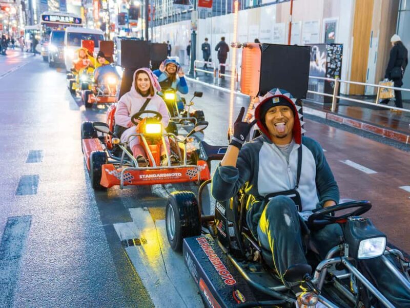 Shibuya#2 Go Karting Tour with Funny Costume - Who Is This Tour Best Suited For?