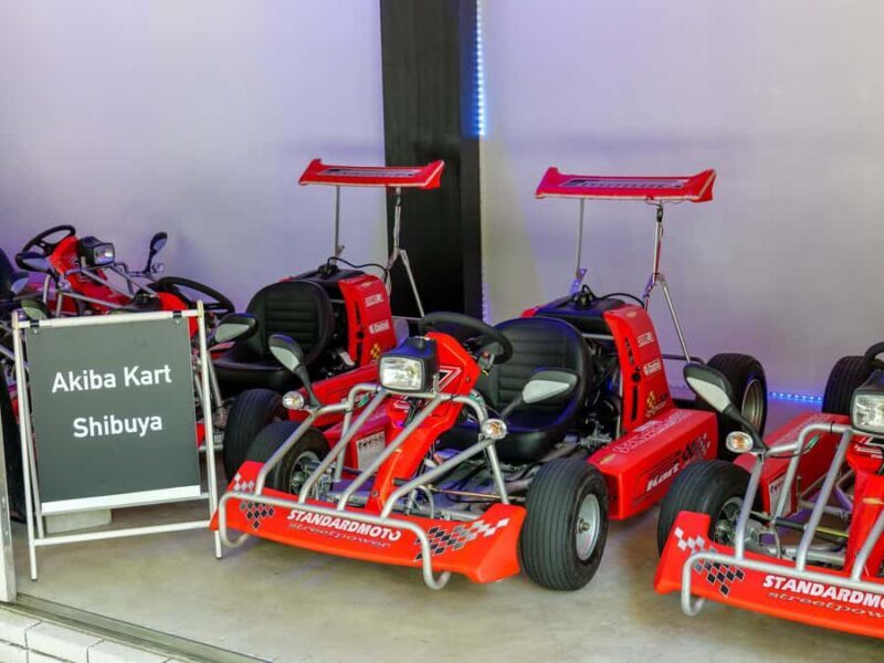 Shibuya#2 Go Karting Tour with Funny Costume - Final Thoughts