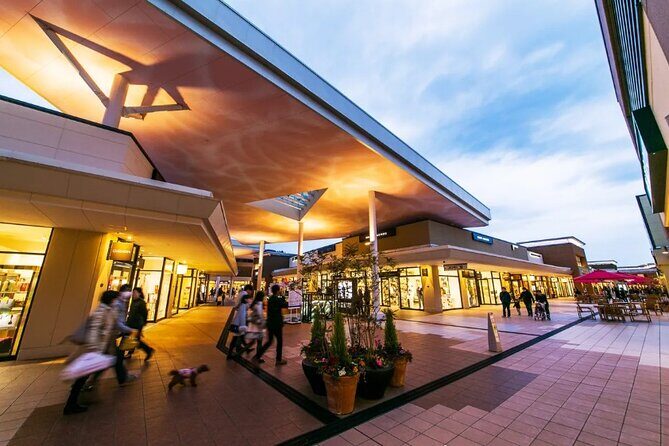 Shiga 1Day Private Tour from Kyoto - Authentic Experiences and Traveler Insights