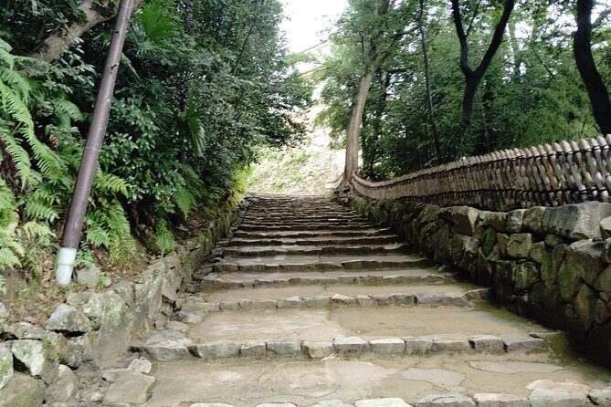 Shiga: Explore Hikone Castle and Savor Premium Omi Beef - The Sum Up