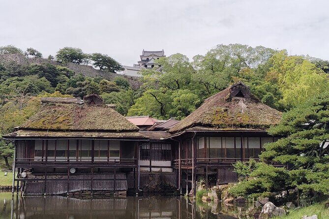 Shiga: Future World Heritage Site Hikone Castle Guided Tour - What Past Travelers Say