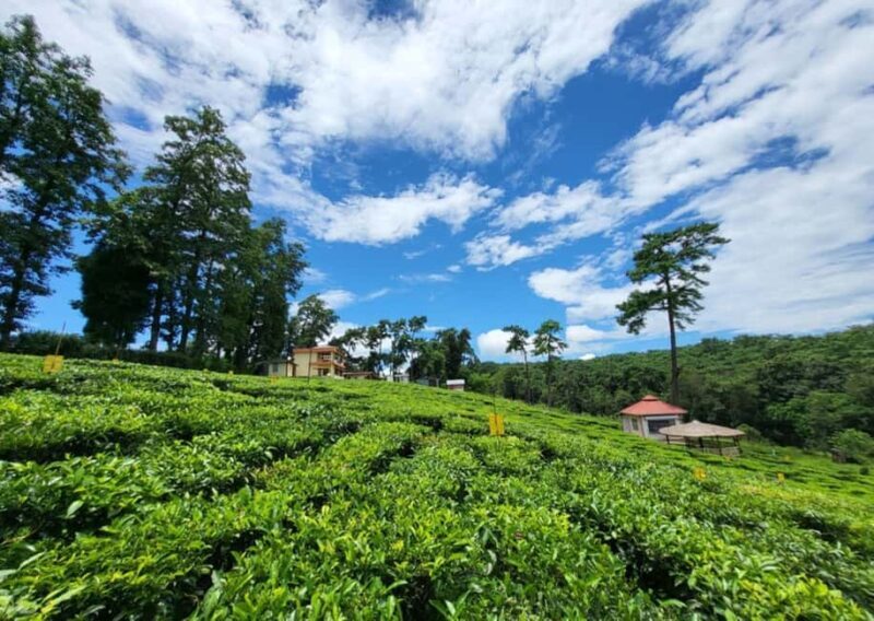 Shillong: Guided Half-Day Sightseeing Tour by Car - Key Points