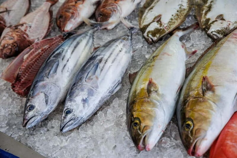 Shima: Premium Fish Shop Tour, Exclusive Backyard Experience - Key Points