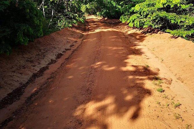 Shimba Hills Excursion - Key Points