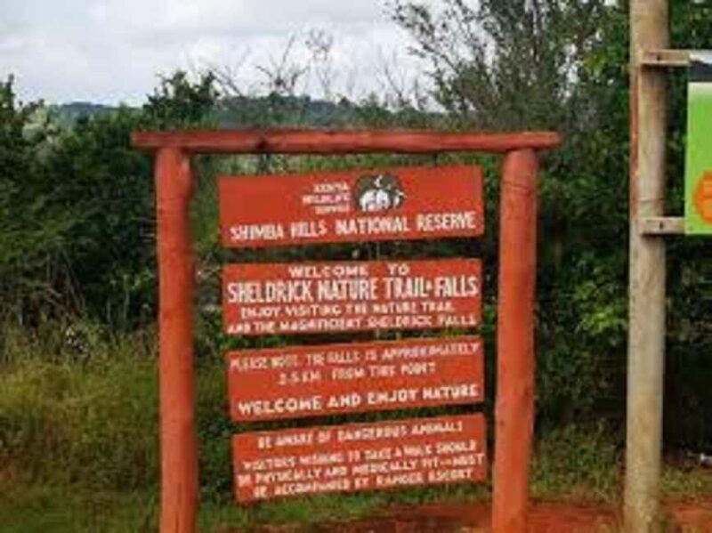 Shimba Hills: Game Drive, Waterfall Hike, and Lunch - Exploring the Experience: From the Game Drive to the Waterfalls