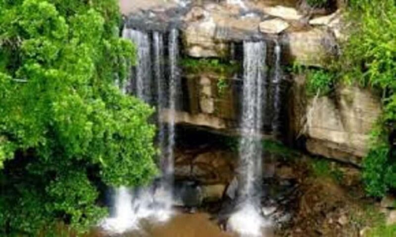 Shimba Hills: Game Drive, Waterfall Hike, and Lunch - Practical Details and What to Expect