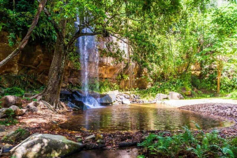 Shimba Hills National Reserve Day Trip from Diani - Exploring the Shimba Hills Experience