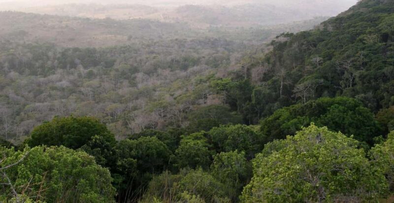 Shimba Hills National Reserve Day Trip from Diani - Practical Considerations