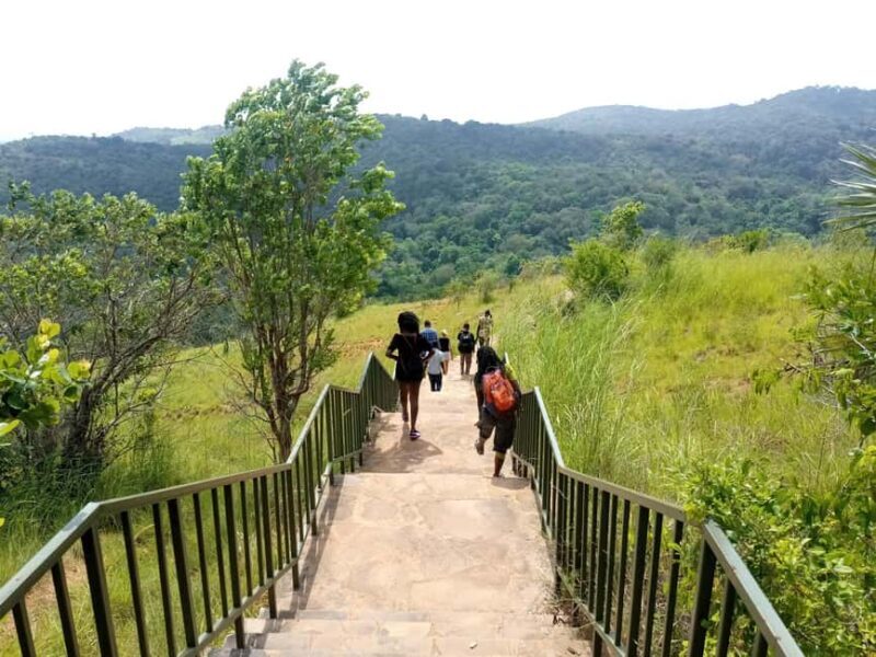Shimba Hills National Reserve Day Trip from Diani - The Sum Up