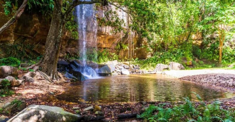 Shimba Hills Reserve Day Trip: From Mombasa and Diani - A Closer Look at the Shimba Hills Experience