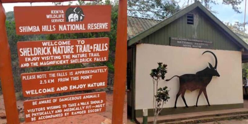 Shimba Hills Reserve Day Trip: From Mombasa and Diani - What Travelers Say