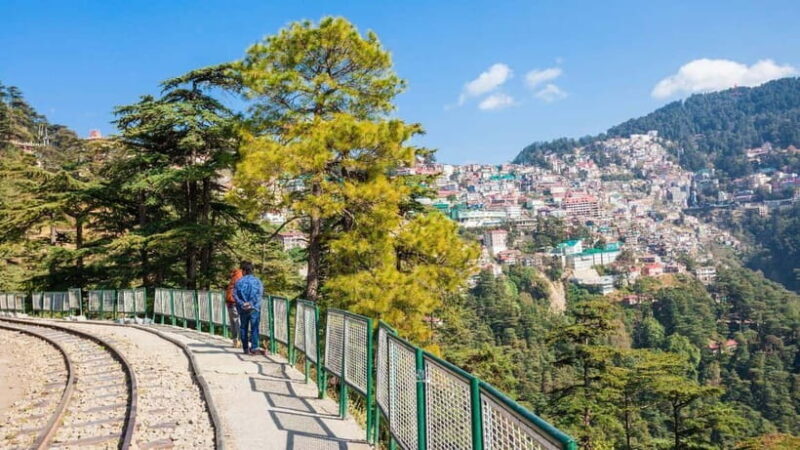 Shimla: UNESCO Toy Train Ride with Guide - Practical Tips for Travelers