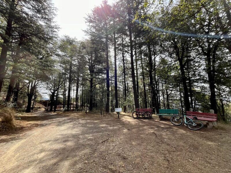 Shimla: Wildlife Sanctuary & Water Catchment Guided Tour - A Closer Look at the Shimla Wildlife Sanctuary & Water Catchment Tour
