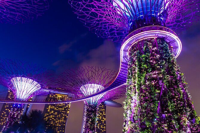Shine Bright Like a Diamond Singapore Night Tour - The Practicalities: What to Expect
