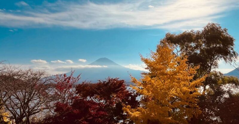 Shinjuku: Mount Fuji Panoramic View and Shopping Day Tour - Getting Started in Shinjuku