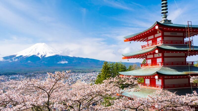 Shinjuku: Mount Fuji Panoramic View and Shopping Day Tour - What It Means for You as a Traveler