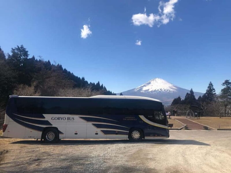 Shinjuku: Mount Fuji Panoramic View and Shopping Day Tour - Who Will Love This Tour?