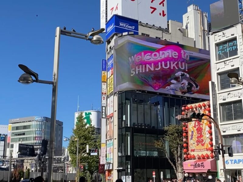Shinjuku Night: Izakaya & Kabukicho Red Light District - The Sum Up