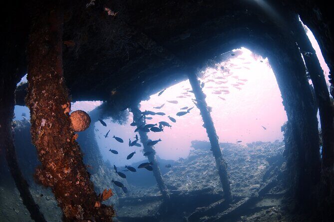 Shipwreck Diving in Tulamben - Why This Dive Trip Stands Out