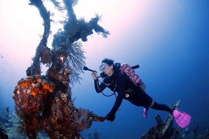 Shipwreck Diving in Tulamben - Authentic Experiences from Past Travelers