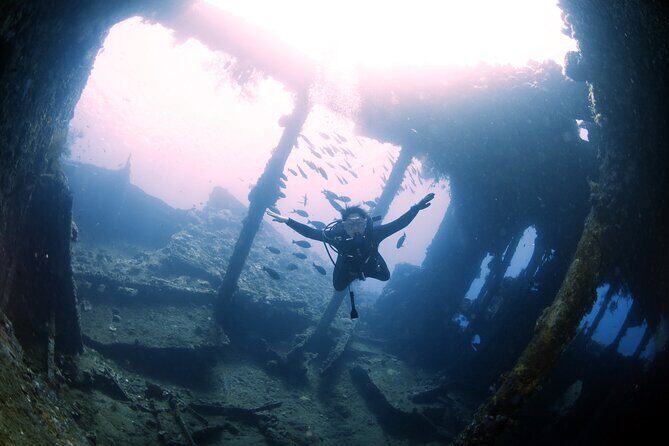 Shipwreck Diving in Tulamben - Who Is This Tour Best For?