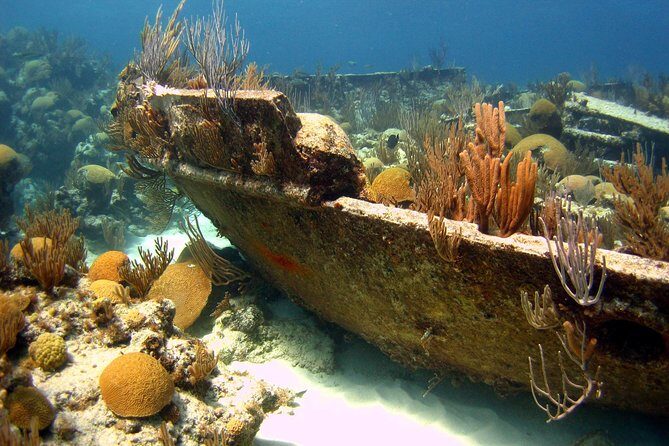 Shipwreck Snorkel in Bermuda - An In-Depth Look at the Bermuda Shipwreck Snorkel Tour