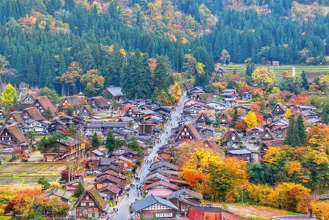 Shiragawa-go, Hida Takayama UNESCO Full-Day Tour from Nagoya - An Introduction to the Experience