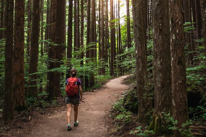 Shiragawa-go, Hida Takayama UNESCO Full-Day Tour from Nagoya - Analyzing the Value: Price, Duration, and Experience