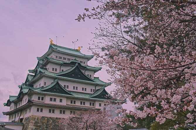 Shiragawa-go, Hida Takayama UNESCO Full-Day Tour from Nagoya - Practical Tips for Future Travelers