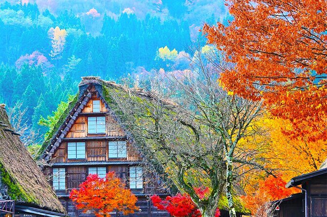 Shirakawa-go and Hida-Takayama Private Day Trip from Nagoya - Key Points