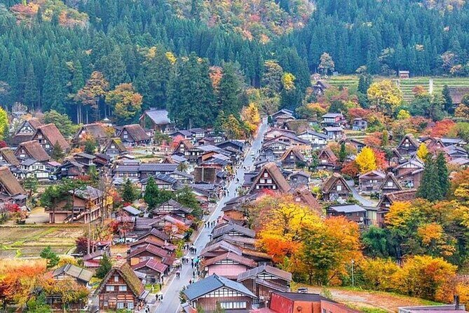 Shirakawa-go, Hida Takayama Day and Old Town Tour from Nagoya - Who Will Love This Tour?