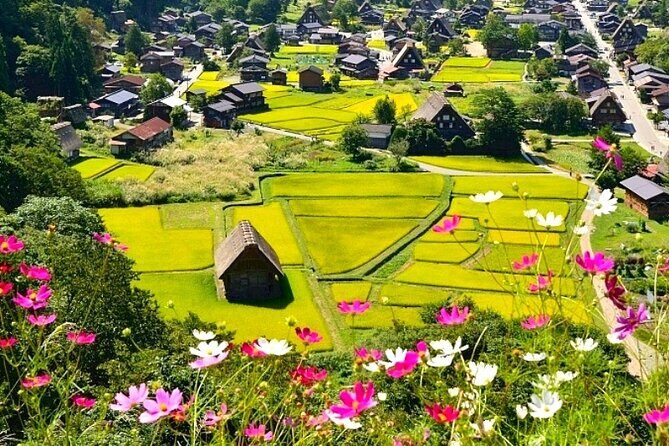 Shirakawa-go + Hida Takayama Day Tour from Nagoya Station - Is This Tour Worth It?