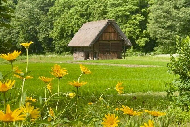 Shirakawa Ono Gifu Bus Tour Experience - The Sum Up: Is It Worth It?