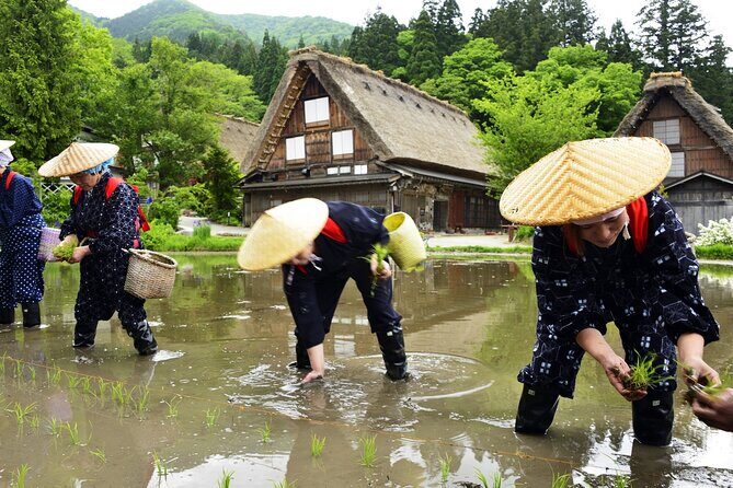 Shirakawago Day Trip: Government Licensed Guide & Vehicle from Kanazawa - FAQ