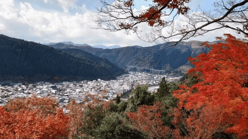 Shirakawago&HidaTakayama&GujoHachiman 1 Day Tour from Nagoya - Final Thoughts