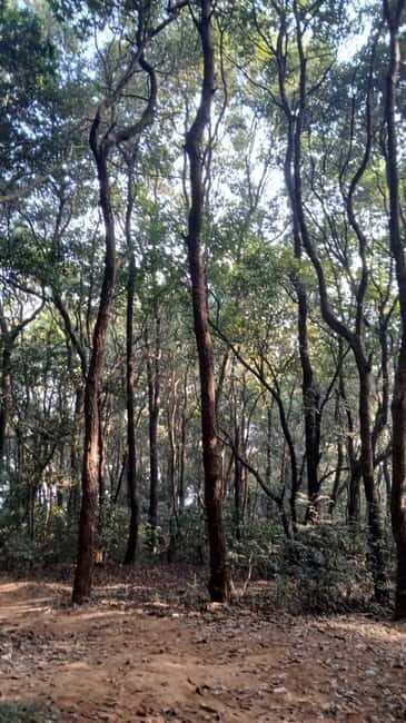 Shivapuri Nagarjun: Half-Day Hiking to Jamacho Gumba - Final Thoughts