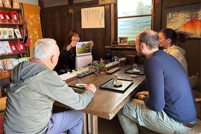 Shizuoka: 6-hour Private Tour & Japanese Tea Farm w/ Vehicle - A Close Look at Your Shizuoka Day