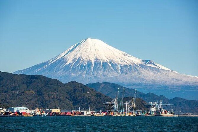 Shizuoka Private Vehicle Service with Restaurant Reservation - A Personal Touch in Shizuoka: Why Choose This Tour?