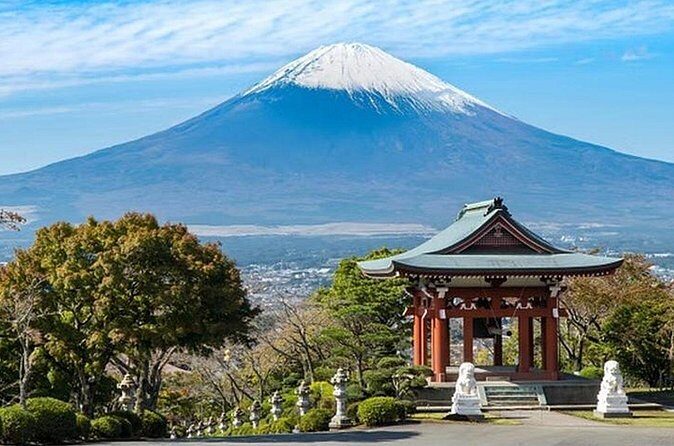 Shizuoka Private Vehicle Service with Restaurant Reservation - Who Will Love This Tour?