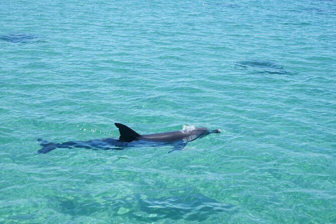 Shoalwater Islands Marine Park Cruise with Lunch - FAQ